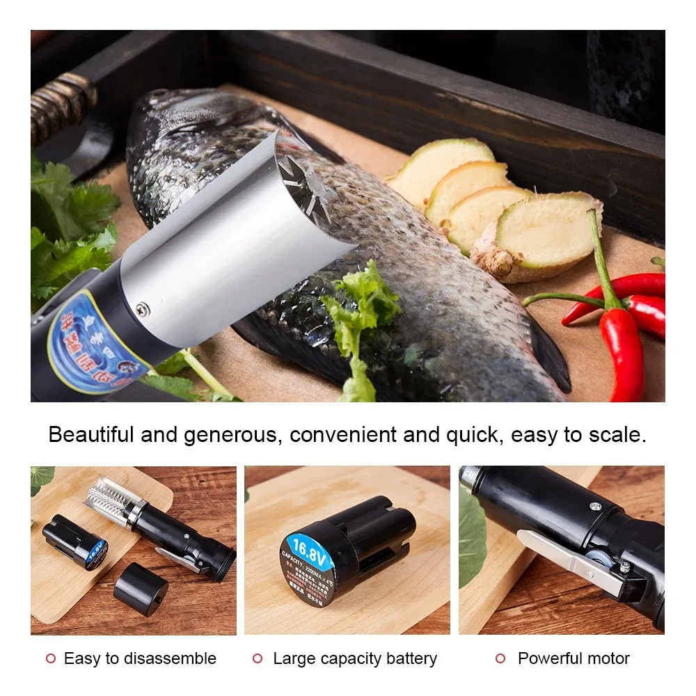 Cuchillo para mariscos, raspad - Mesh Coil Strip reseña y precio