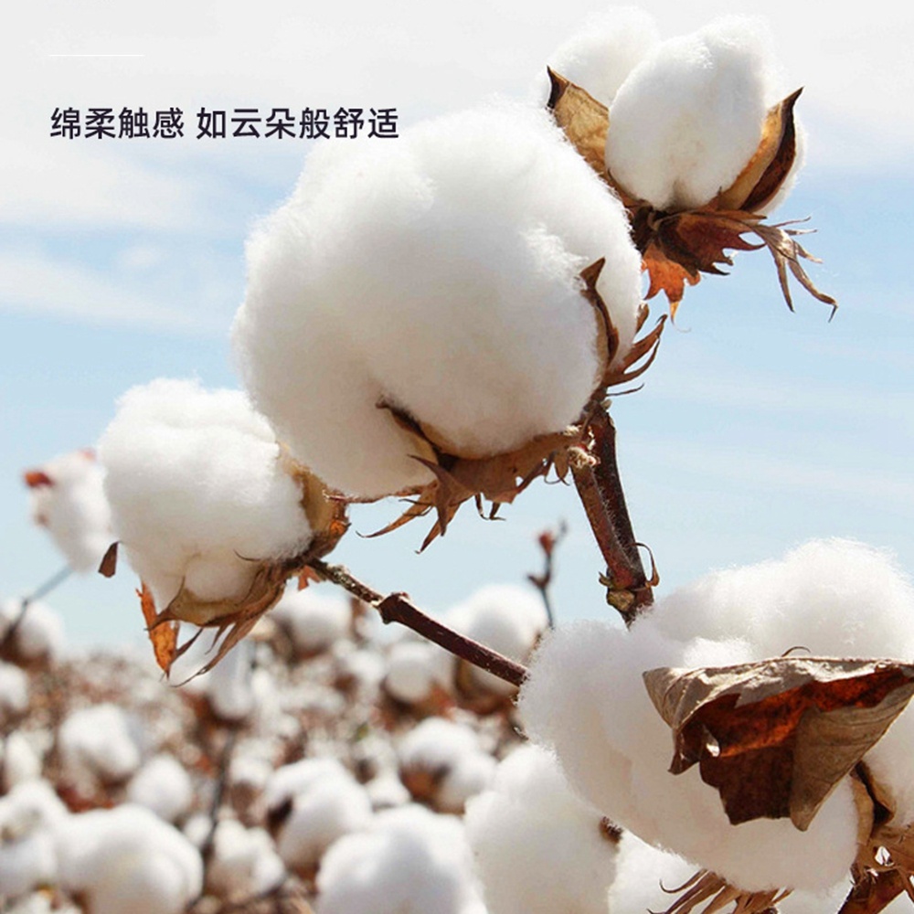 Mecha de tocino de algodón org - Cotton Wick Organic reseña y precio